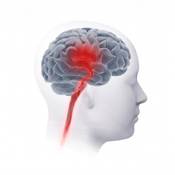 Brain receiving microtesla magnetic field